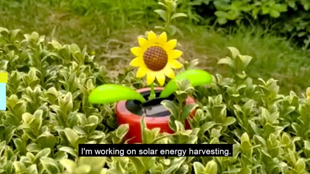 Anurag Roy - Solar Energy Group